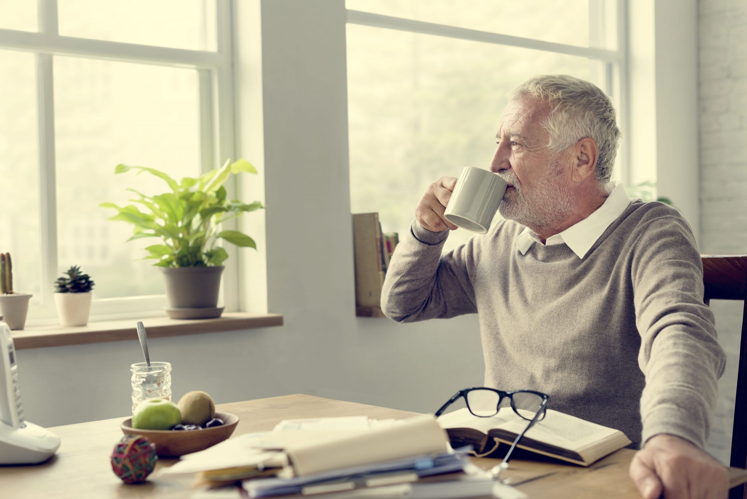 Senior Adult Reading Book Leisure Hobby Concept