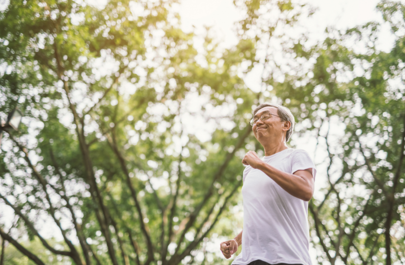 exercise-for-elderly