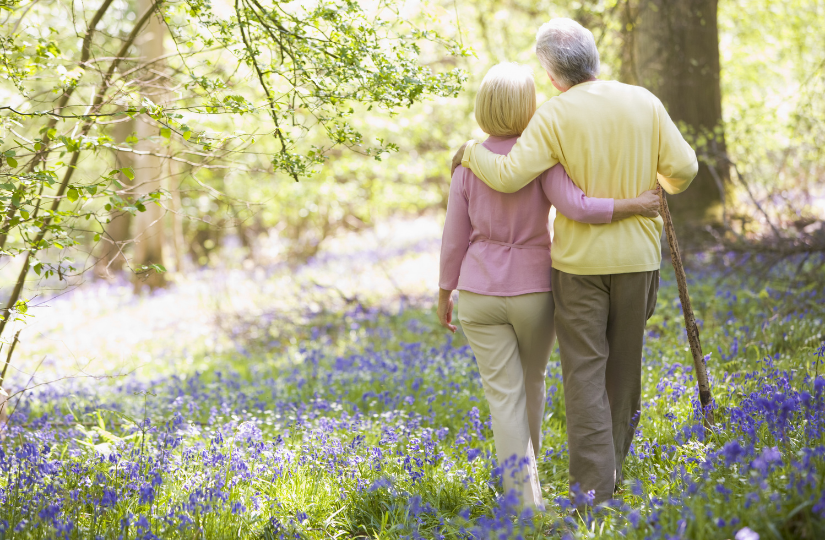 spring-activities-for-seniors